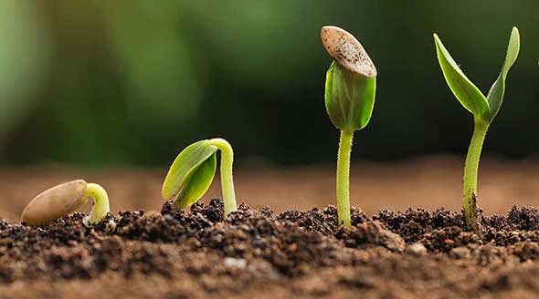 The evolution of Strategic Meetings Management