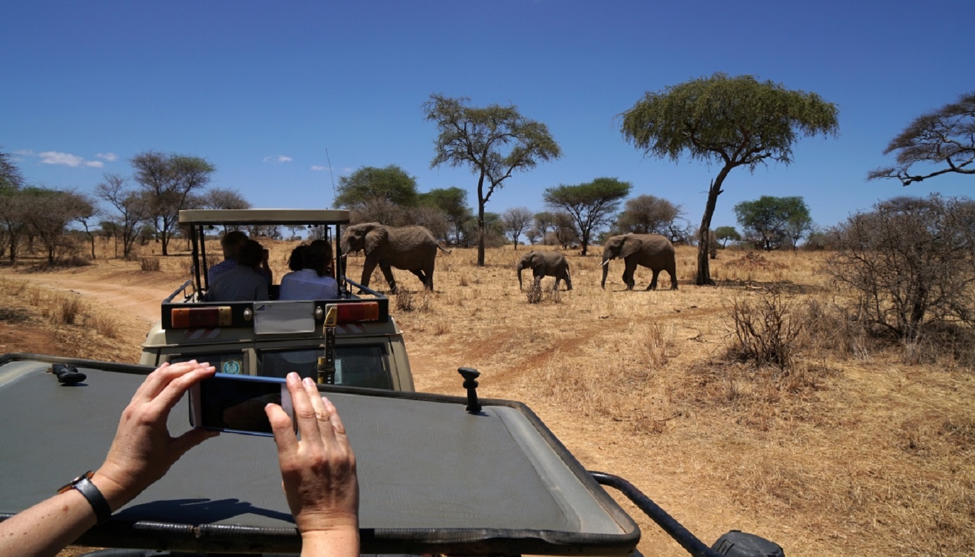 hands holding smartphone, shooting photos of  elephants at a safari